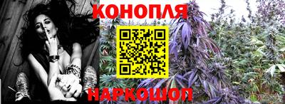стафф Краснознаменск