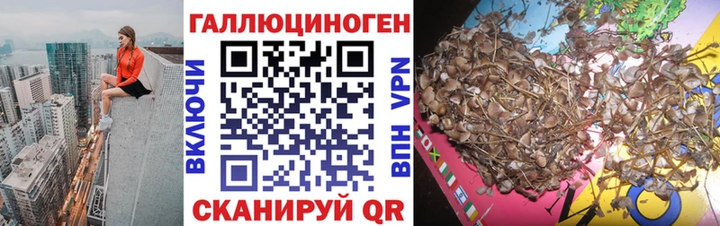 Галлюциногенные грибы мухоморы  Уссурийск 