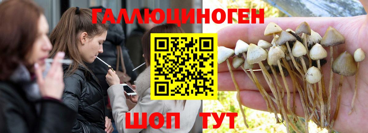 Галлюциногенные грибы MAGIC MUSHROOMS Уссурийск